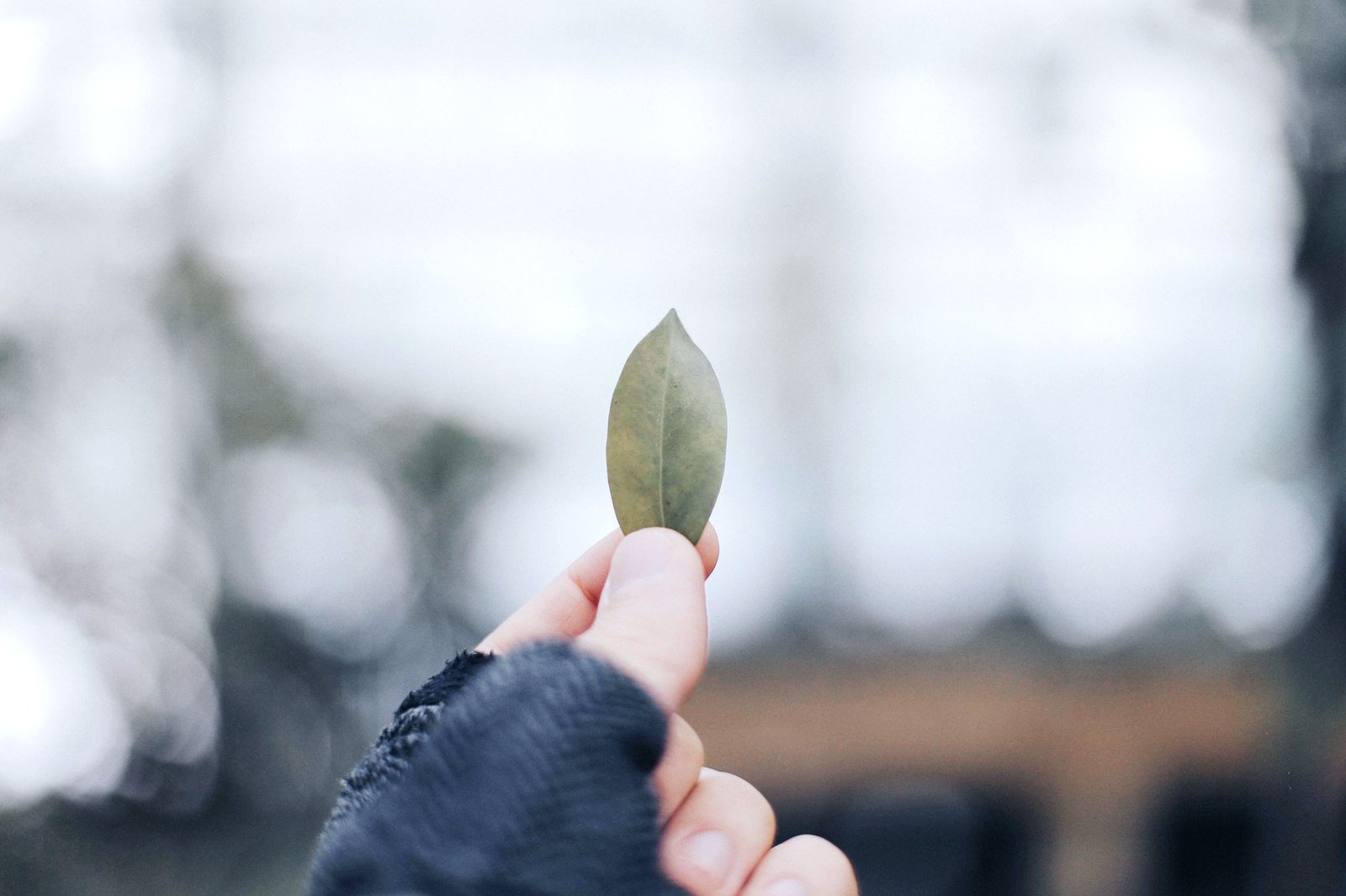Holding a leaf in hand