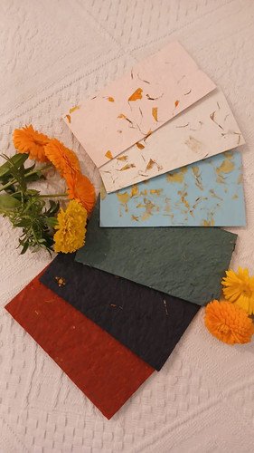 10 Marigold Paper Money Envelopes 3.5 x 6.5 inch