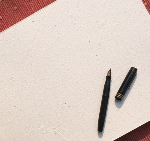 10 Plantable Seed Paper A4